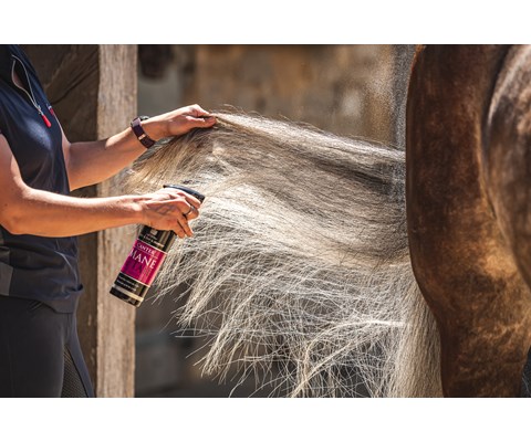 Canter Mane & Tail Conditioner Spray 500 ml