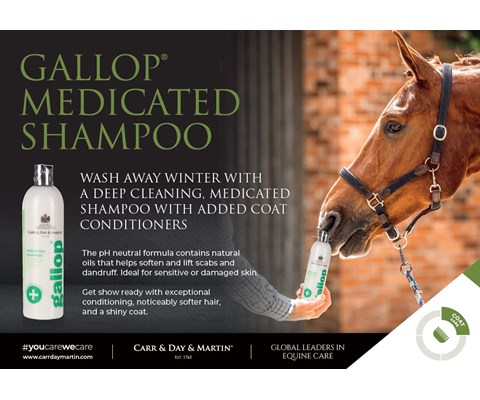 Gallop Medicated Shampoo 500 ml