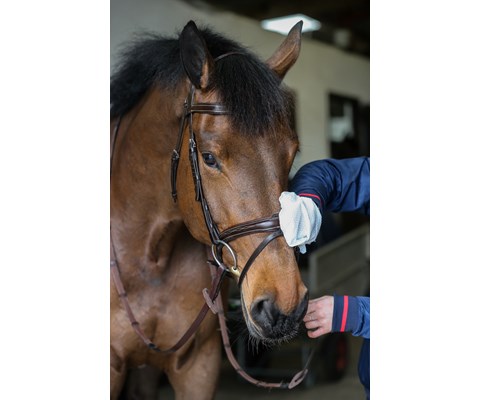 Belvoir Tack Cleaner Mitts 10 stk