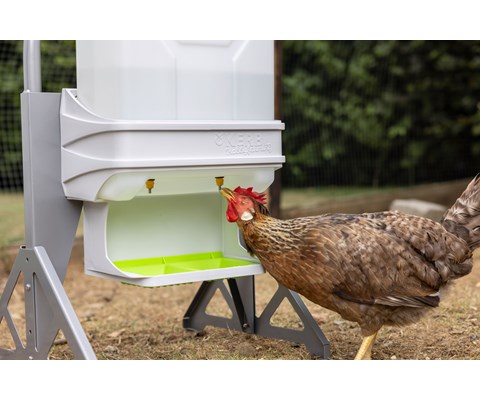 SmartCoop vannautomat fjærfe 10 L