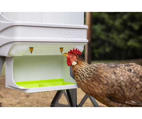 SmartCoop Mobile Stand stativ