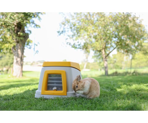 Kaninhus Bunny Base komplett sett