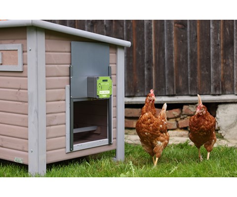 Automatisk hønedør EasyProtect