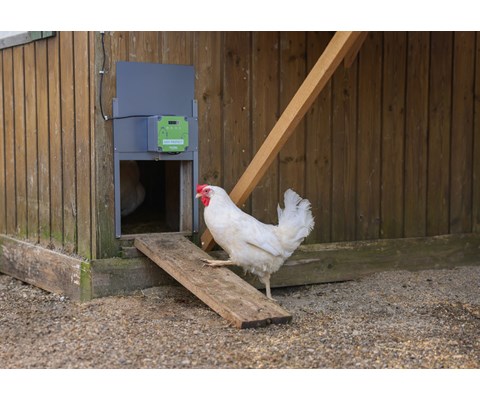 Automatisk hønedør EasyProtect