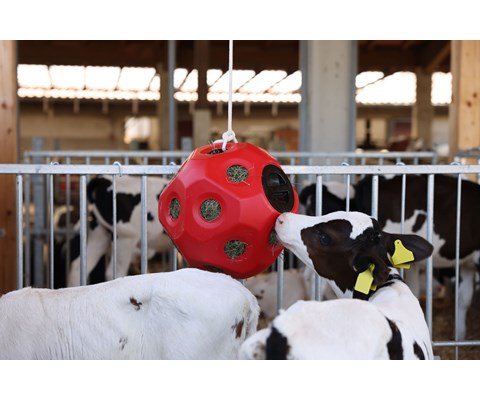 Leke og fôringsball rosa