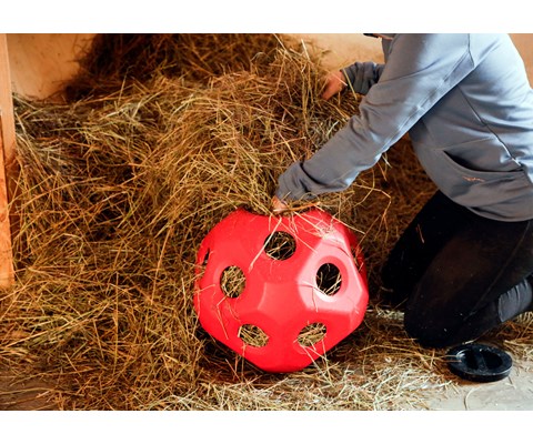 Leke og fôringsball rød