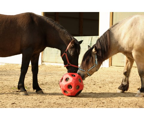 Leke og fôringsball rød