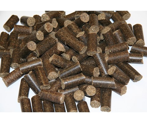 Hestegodt gulrot 1 kg