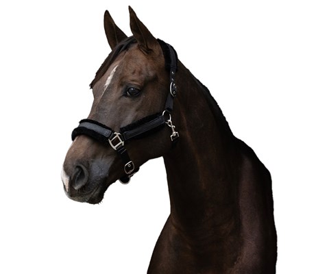 Grime med glitter svart