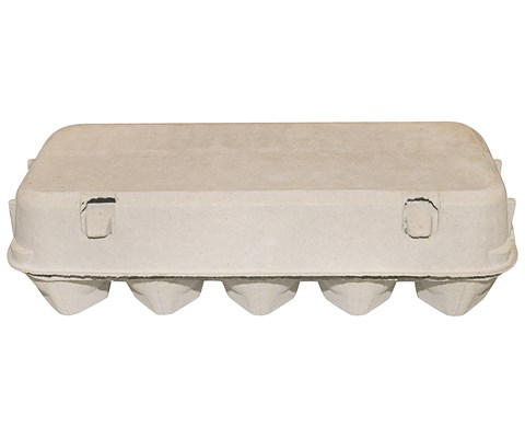 Eggkartong for 10 egg