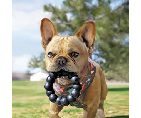 Hundeleke Extreme gummiring