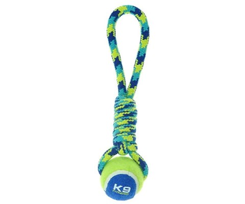 Hundeleke tau med tennisball