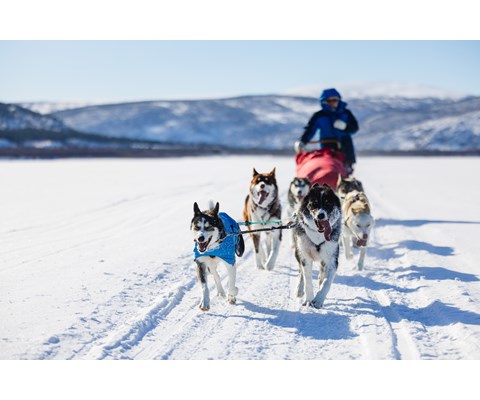 Hundedekken Long Distance Light Jacket blå