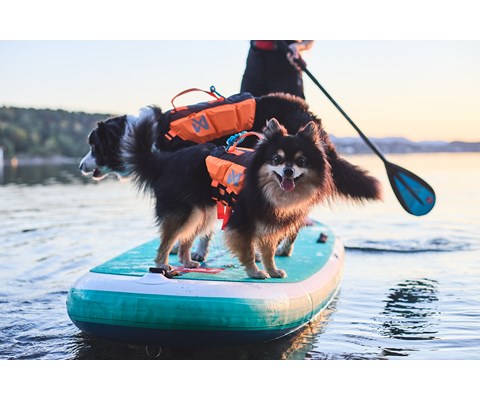 Flytevest Protector Lifejacket 2 orange