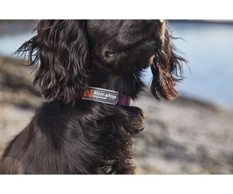 Halsbånd Tumble lilla XS