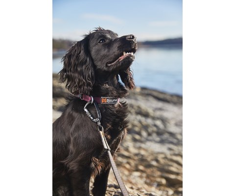 Halsbånd Tumble lilla XS