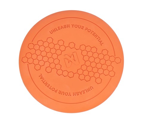 Hundeleke Flying Disc