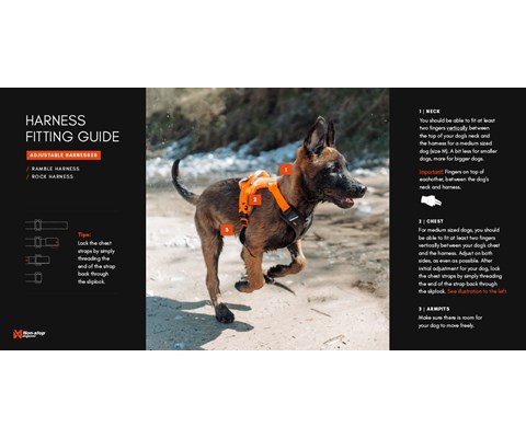 Sele Rock Harness svart