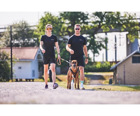 Sele Rock Harness svart