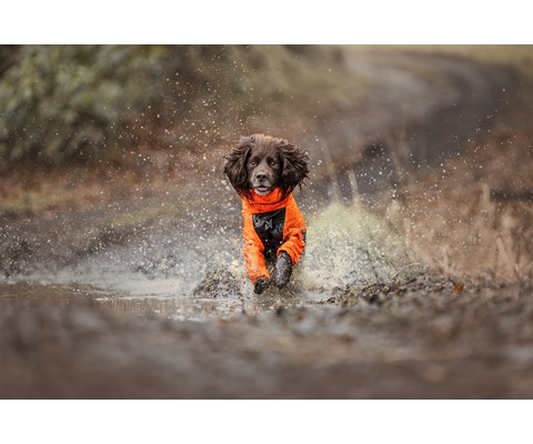 Regndekken Fjord orange