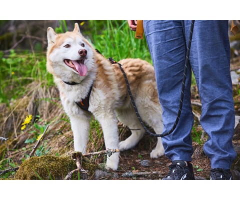 Kobbel Rock 180 cm svart