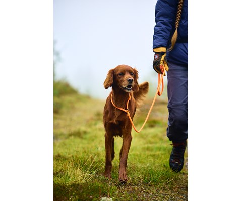 Retriverkobbel 160 cm svart