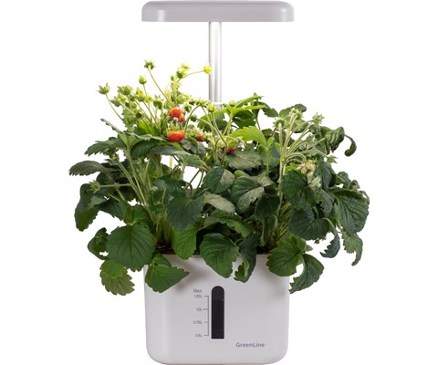 Dyrkingssett Urban Growing P4