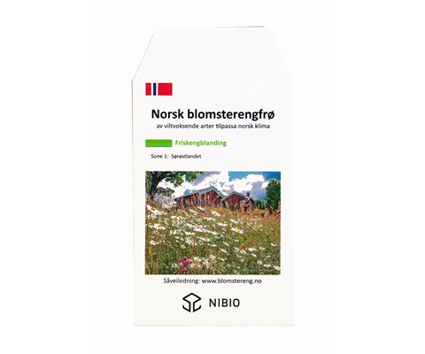 Frø blomstereng Friskeng Sørøstlandet