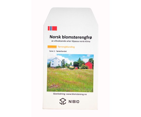 Frø blomstereng Tørreng Sørøstlandet