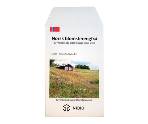 Frø blomstereng Innlandet, lavlandet