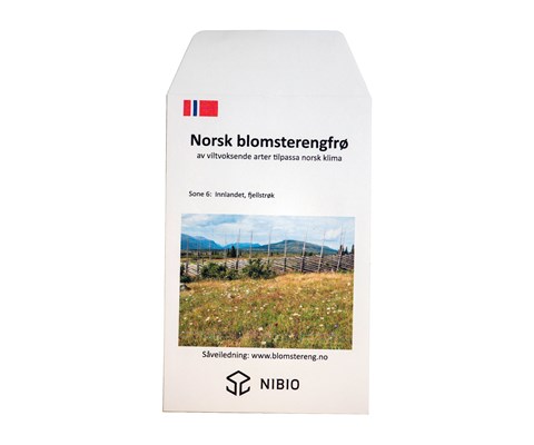 Frø blomstereng Innlandet, fjellstrøk