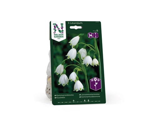 Høstløk jonsokklosterklokke