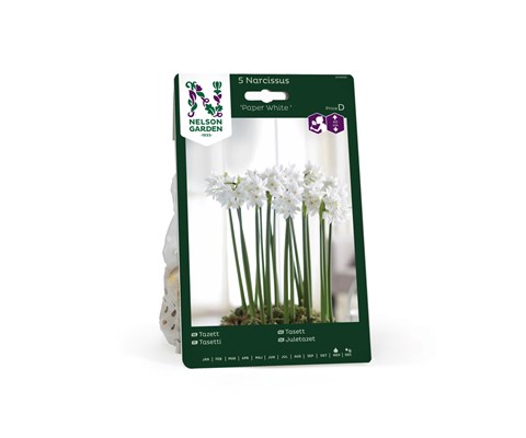 Høstløk tasett Paper White