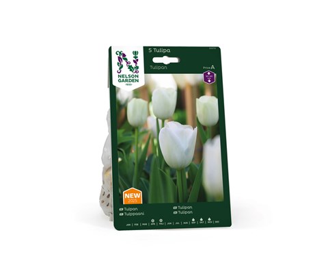 Høstløk tulipan hvit