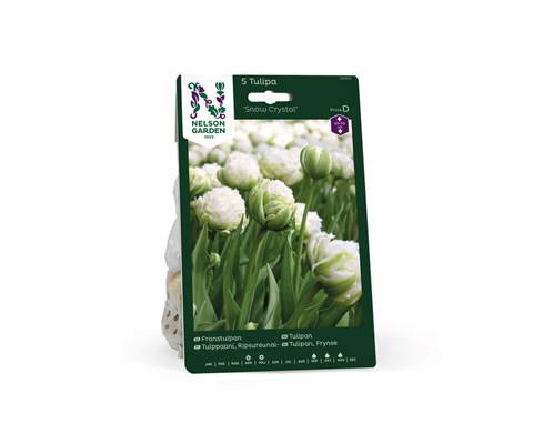 Høstløk frynsetulipan Snow Crystal
