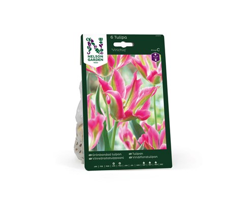 Høstløk tulipan Virichiq