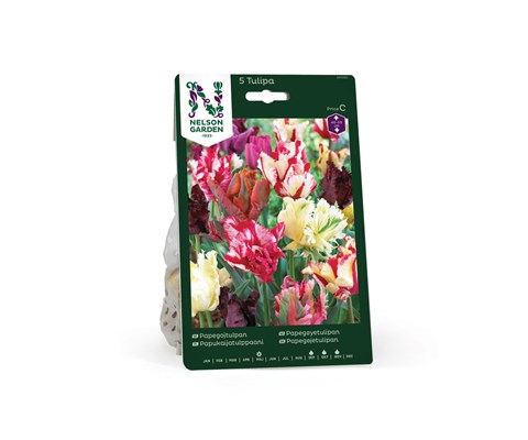 Høstløk papegøyetulipan