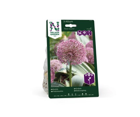 Høstløk gråløk Red Giant