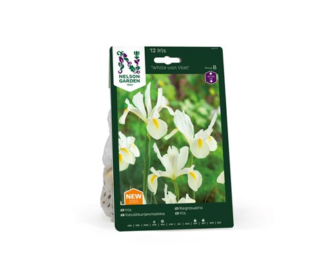 Høstløk regnbueiris White van Vliet