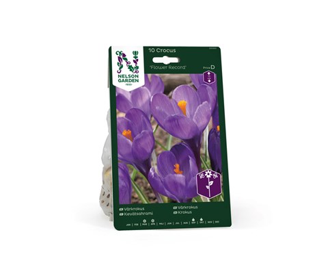 Høstløk vårkrokus Flower Record