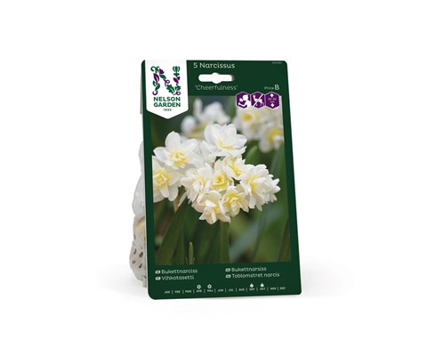 Høstløk narsiss Cheerfulness