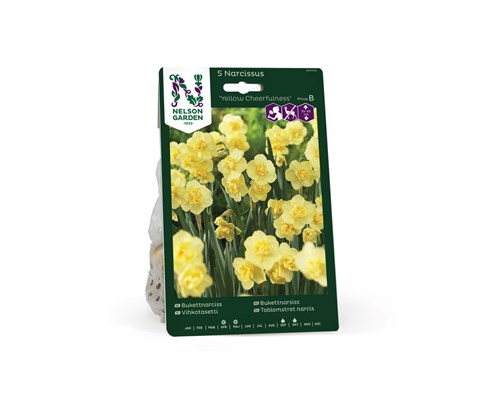 Høstløk narsiss Yellow Cheerfulness