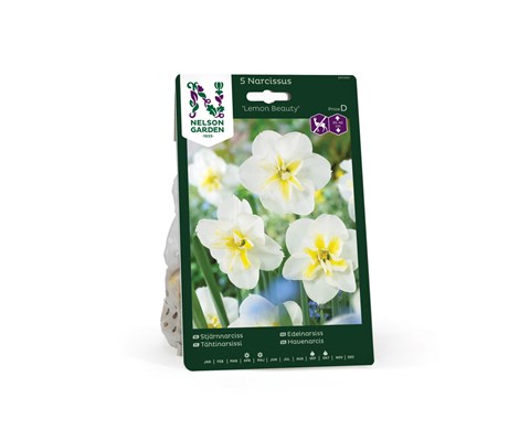 Høstløk edelnarsiss Lemon Beauty