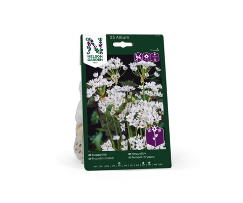 Høstløk neapelløk