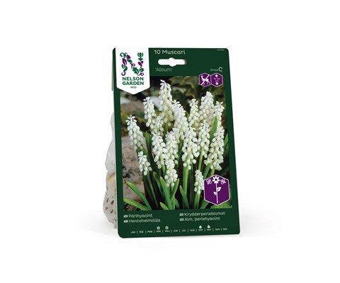 Høstløk krydderperleblomst Album