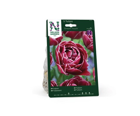 Høstløk tulipan Dream Touch