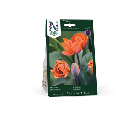Høstløk tulipan Orange Princess
