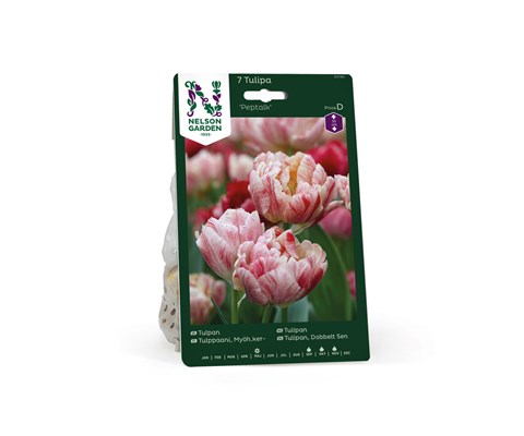 Høstløk tulipan, sen fylt Peptalk