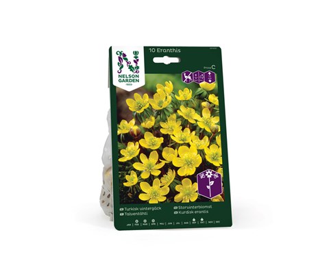 Høstløk storvinterblomst