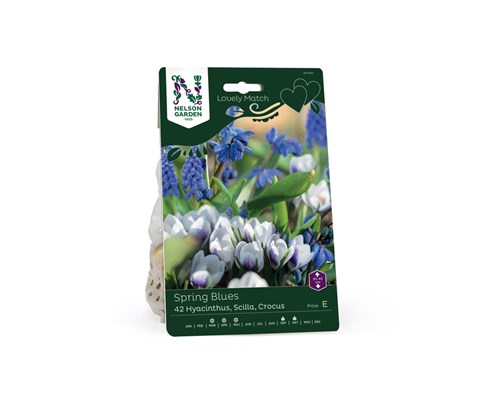 Høstløk blanding Spring Blues